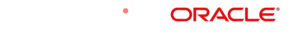 Boomi NetSuite Integration 3